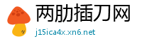 两肋插刀网